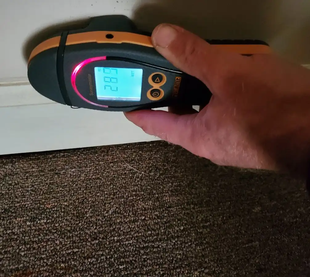Moisture detection at baseboard during Burst Pipe Cleanup in Lynwood